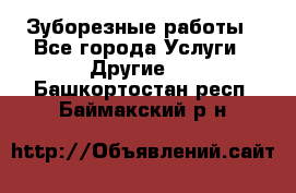 Зуборезные работы - Все города Услуги » Другие   . Башкортостан респ.,Баймакский р-н